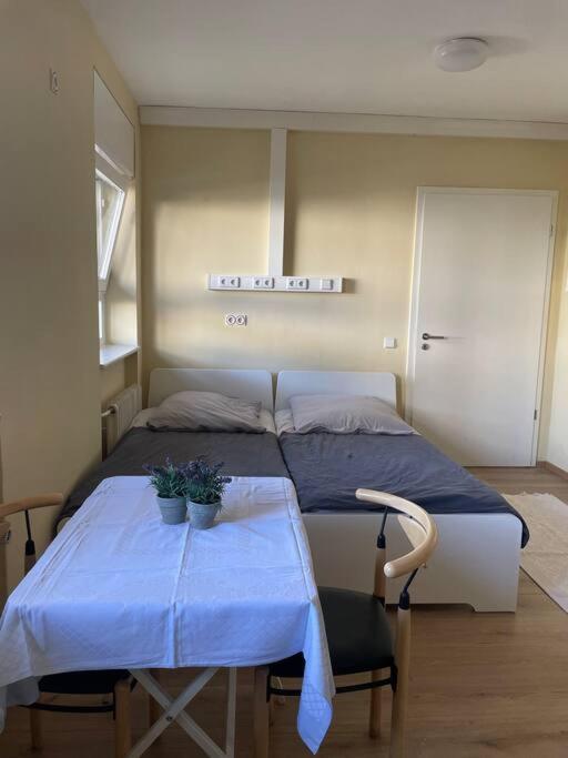 Einzimmerwohnung + Dusche Und Wc Berlin Dış mekan fotoğraf